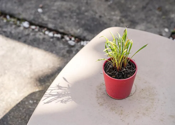 Guestready - Charming House Marques Appartamento Oporto