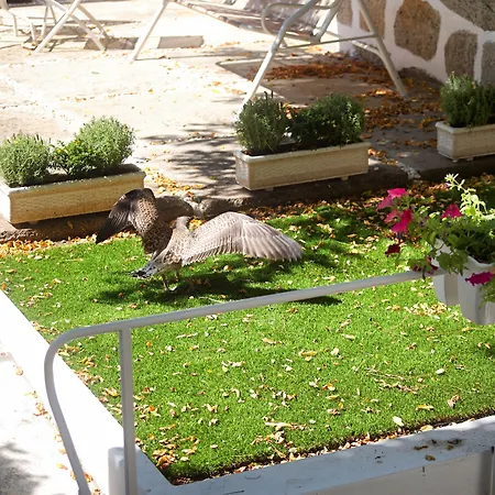 Guestready - Charming House Marques Porto