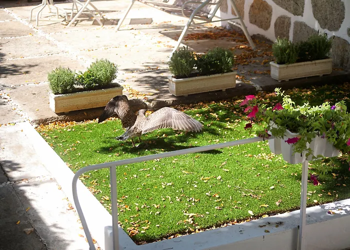 Guestready - Charming House Marques Porto