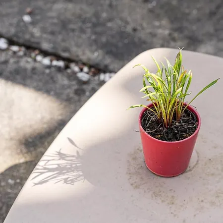 Charming House Marquês Hotel Porto